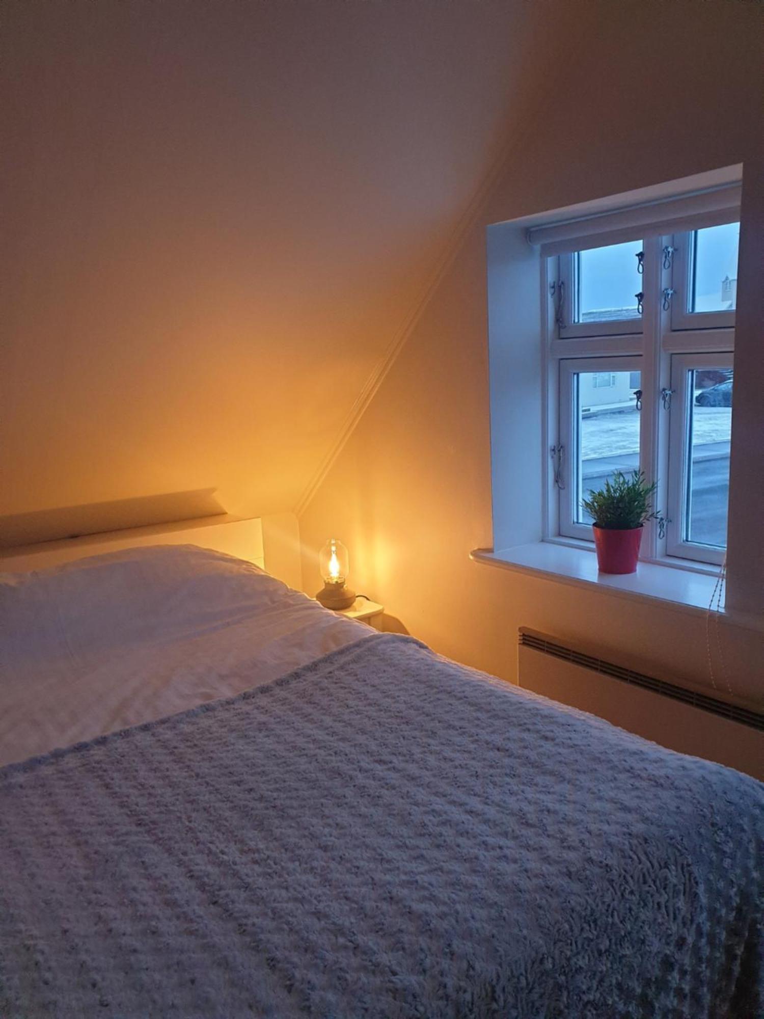 Guesthouse Lyngholt Þórshöfn Extérieur photo